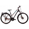Mestsky bicykel - Northtec Bike 29 Dámska Offroad DB (Northtec Bike 29 Dámska Offroad DB)