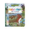 4631-6 Maľuj vodou zas a znovu Dinosaury – Magické vyfarbovanie s vodným perom