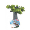 Akvarijné dekorácie AFRICA Baobab M 19,5 cm Zolux