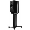Dynaudio Confidence 20A vesmírny vysoký lesk