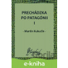 E-kniha Prechádzka po Patagónii I - Martin Kukučín