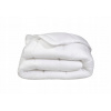 Perina, paplón - Prikrývka Euro-Comfort 200 x 155 cm (Všetky -year prikrývky 155x200 -anti -allergické)