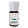 HANUS SILICA ŠKORICA KASIOVÁ ole 10 ml