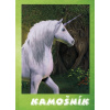 Kamošník - Jednorožec | Orémusová Dagmar
