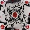 Red Hot Chili Peppers: B… (Red Hot Chili Peppers)
