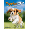 Puppies (Štěňátka / Šteniatka) 2027 - nástěnný kalendář - Helma