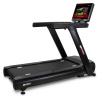 BH FITNESS INERTIA G788 SmartFocus 19