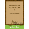E-kniha Prechádzka po Patagónii II - Martin Kukučín