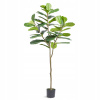 Umelá rastlina Husle RYC 810 x 810 x 1850 mm Umelá rastlina PE