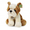 Plyšový pes buldog 26 cm ECO-FRIENDLY