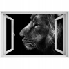 Self -adhézne 3D slepka na okno Animal Lion 90x60 (Self -adhézne 3D slepka na okno Animal Lion 90x60)