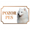 Samojed - Kovová tabuľka POZOR PES