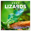 Ještěři 2027 - nástěnný…