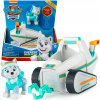 Hliadka Everest + auto vozidlo Snow ster (Hliadka Everest + auto vozidlo Snow ster)