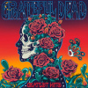 Grateful Dead - Greatest Hits / Limited Orange / Vinyl LP