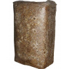 Podhubie Planto hliva ustricová balot 15 kg