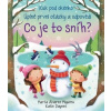 Co je to sníh? Kuk pod okénko - Daynes Katie Miguéns Marta Álvarez