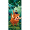 Dverová fototapeta - DV0607 - Leví kráľ 91cm x 211cm - Vliesová fototapeta