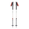 Trekové hole Black Diamond EXPEDITION 2 SKI POLES