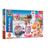 TREFL Puzzle Paw Patrol - Skye v akcii 100 dielikov