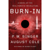 Burn-In