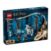 LEGO Harry Potter 76432 Zakázaný les: magické stvorenia
