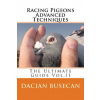 Racing Pigeons Advanced Techniques