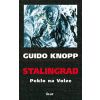 Stalingrad - Peklo na Volze - 2.vyd. - Guido Knopp