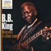 B.B. King - Milestones of a Blues Legend (10CD) (SBĚRATELSKÁ EDICE)