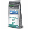 Farmina Vet Life Dog Gastrointestinal Puppy - 2 kg