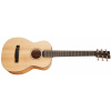 Furch Little Jane LJ 10-SM