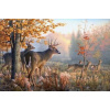 NORIMPEX Diamantové maľovanie Jelene v rannej hmle 30 x 40 cm