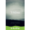 E-kniha Trhlina - Jozef Karika