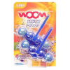 Woom Fresh Power citrón Záveska do WC Farbivo do Vody 2 x 50 G