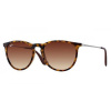 Ray-Ban Erika RB4171 865/13