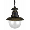 Top Light Florencie R