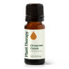 Plant Therapy Cinnamon Cassia škoricová esenciálny olej 10 ml