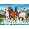 Puzzle Castorland NATURA 2000 dielikov Puzzle Call of Nature 2000