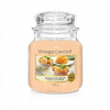 Yankee Candle Mango Ice Cream 411 g