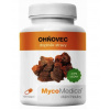 MycoMedica Ohňovec, extrakt, 400 mg, 120 rastlinných kapsúl