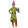 Detský kostým Zelený trpaslík T3