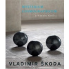 Mysterium Cosmographicum (Vladimír Škoda)