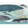 Velryby - Kelsey Oseid