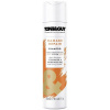 Šampón Toni & Guy 250 ml, regenerácia a hydratácia