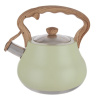 Varná konvice Orion GREENISH 3l