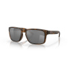 Oakley Holbrook OO9102 F4