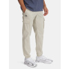 Under Armour UA Vibe Woven Cargo Pants 1386558-289