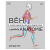 Běh z pohledu anatomie - Správná technika, prevence před zraněním, nastavení tréninku - Napier Chris
