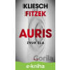 E-kniha Zvuk zla - Vincent Kliesch, Sebastian Fitzek