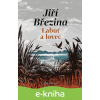 E-kniha Labuť a lovec - Jiří Březina, Sabina Chalupová (ilustrátor)